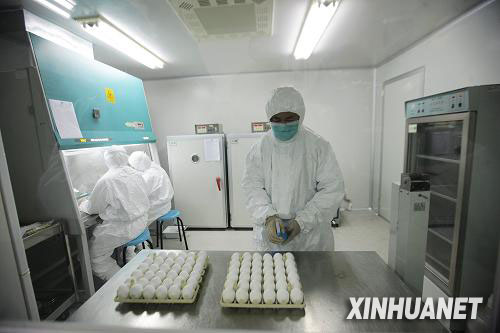 我国正式启动甲型H1N1流感疫苗批量生产