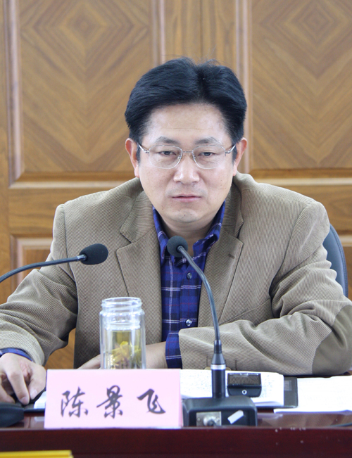 庆元县委书记陈景飞在反馈会上总结讲话