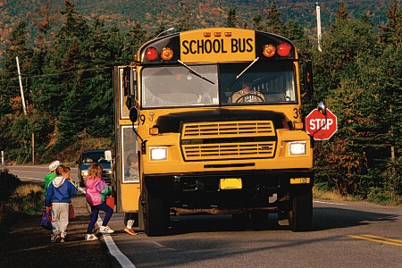 美国的校车何以安全？因为它是“特权车”  