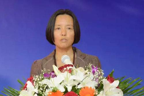 意大利(中国)鞋业商会换届 温州瓯海籍侨领许建