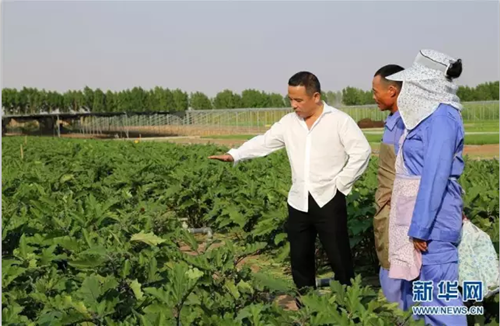 永嘉籍华侨在迪拜沙漠打造了一座绿色农场
