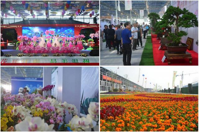 2018浙江（温州）花木博览会在侨乡瓯海区丽岙街道开幕（图）