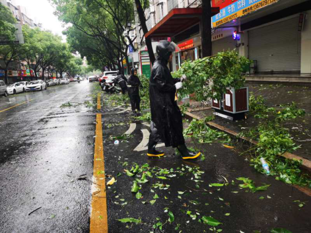 鹿城区滨江街道侨联助力台风“黑格比”后续防灾减灾工作