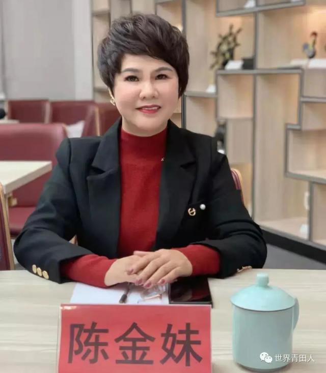 聚焦党的十九届六中全会丨海内外“云端”共话党的十九届六中全会精神