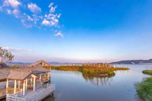 向全球宣传美丽浙江全域大花园⑤浙江玉环漩门湾国家湿地公园