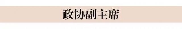 政协第十三届浙江省委员会主席、副主席简历