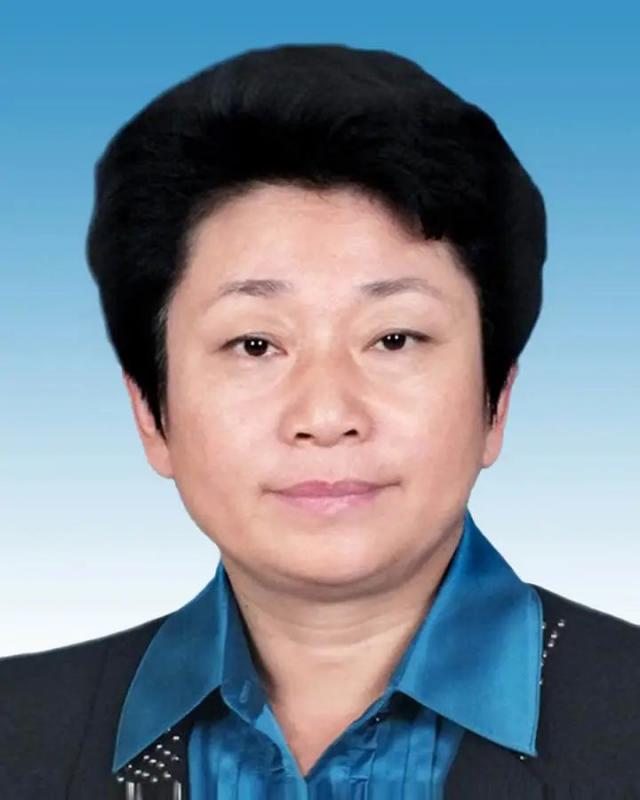 政协第十三届浙江省委员会主席、副主席简历