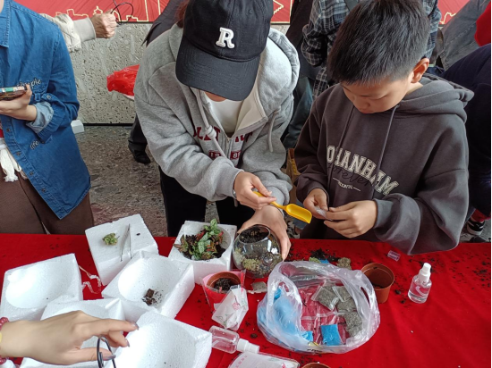 我和春天有个约会!松台街道侨联桂柑分会开展植树节主题活动